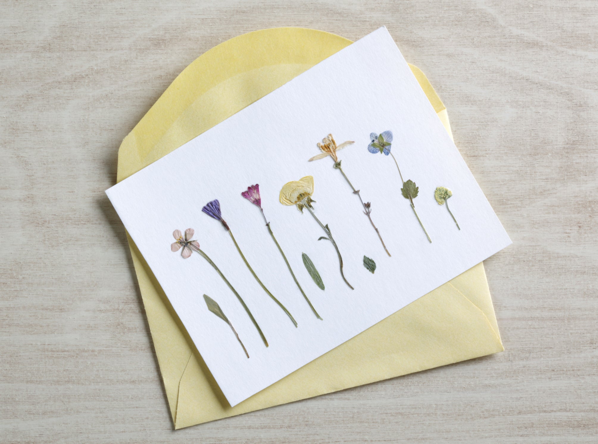 Handmade Paper & Pressed Flower Design Workshop image 3