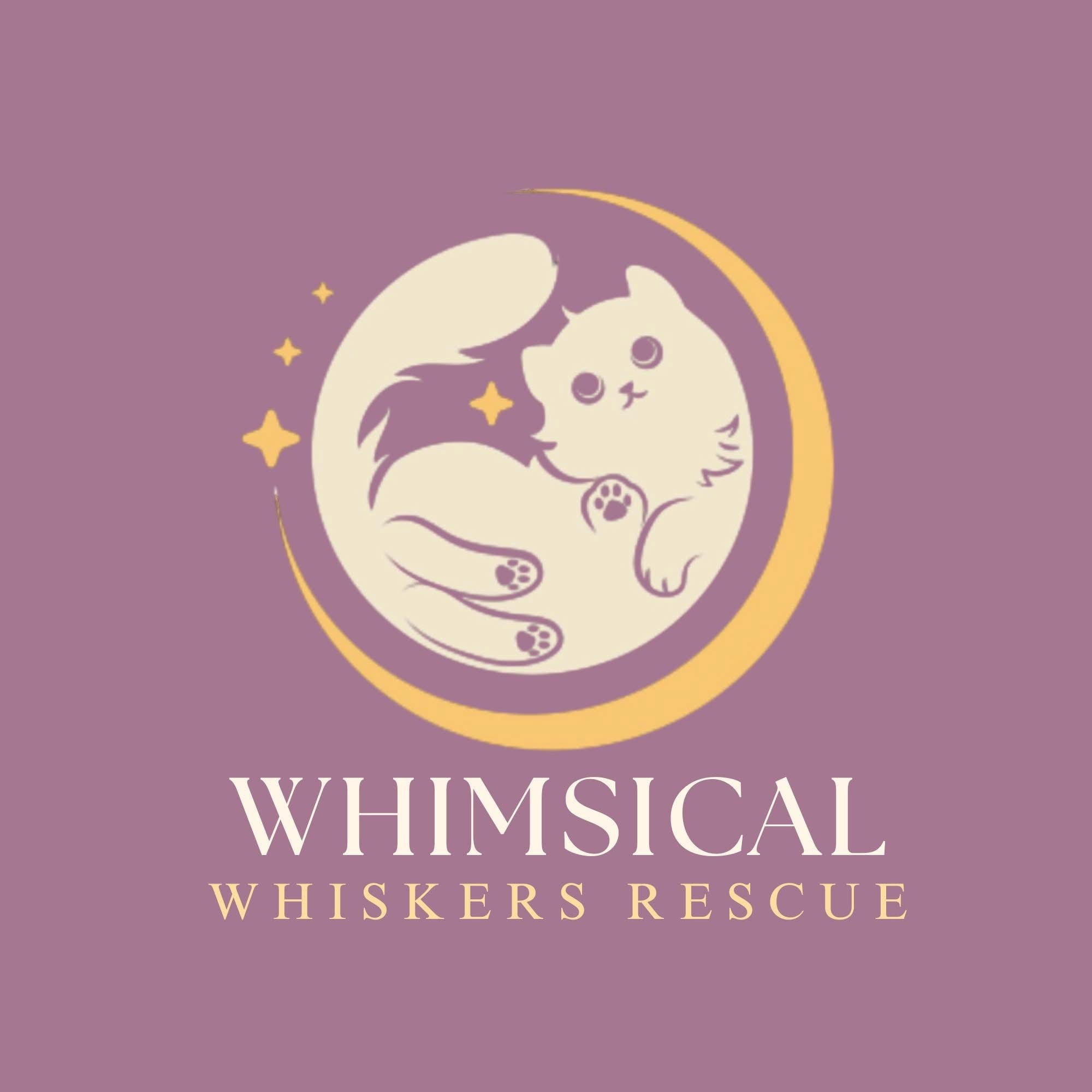 Whimsical Whiskers Rescue Fundraiser: Paint a Rescue Cat