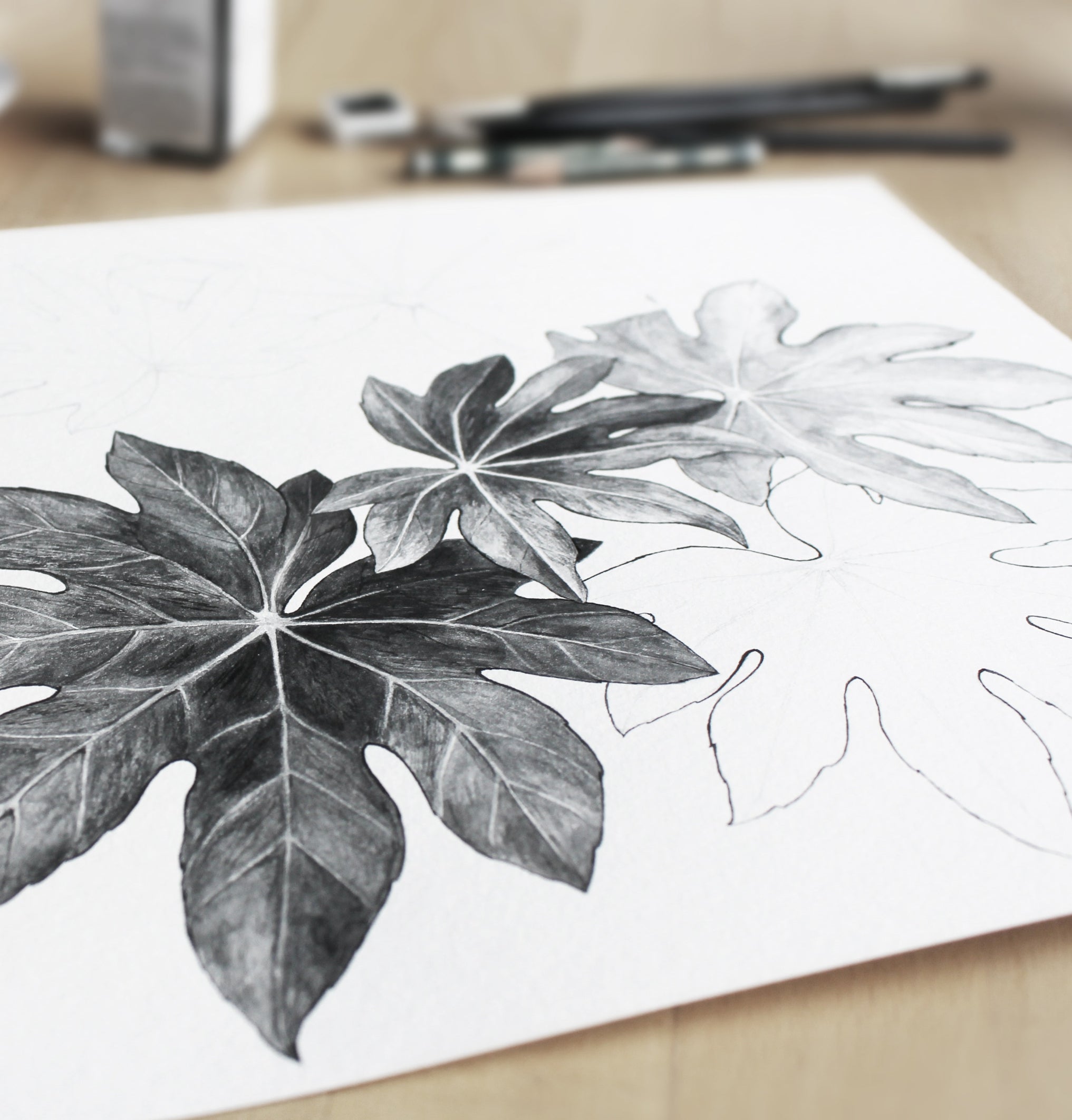 Charcoal Drawing Skills Workshop by Grace Elizabeth image 0