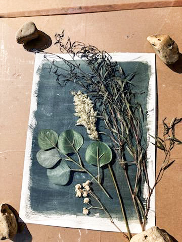 Cyanotype Sun Photography