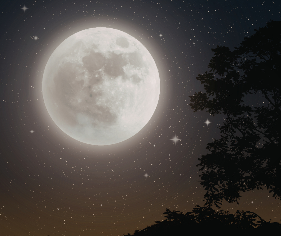 Blue Moon Adult Paint Night