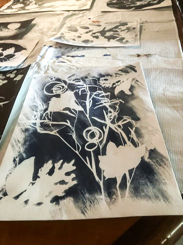 Cyanotype Sun Photography