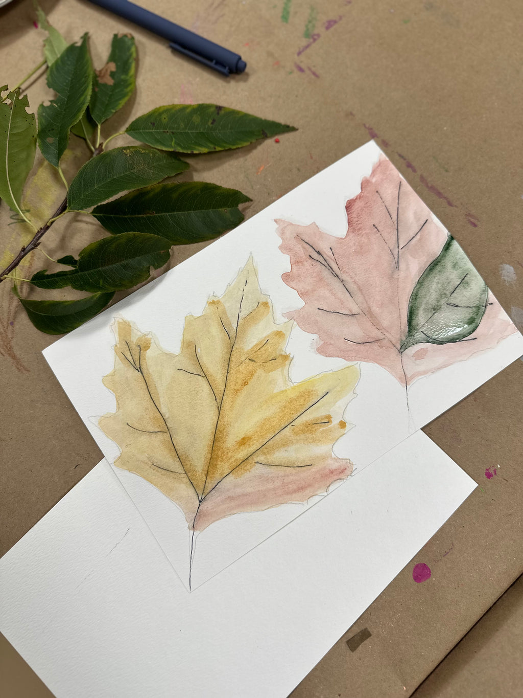 Fall Leaves, Watercolor & Ink