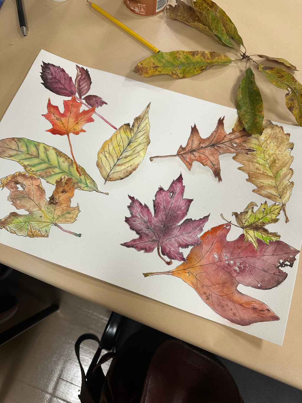 Fall Leaves, Watercolor & Ink