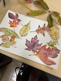Fall Leaf Printmaking: Oct 24th
