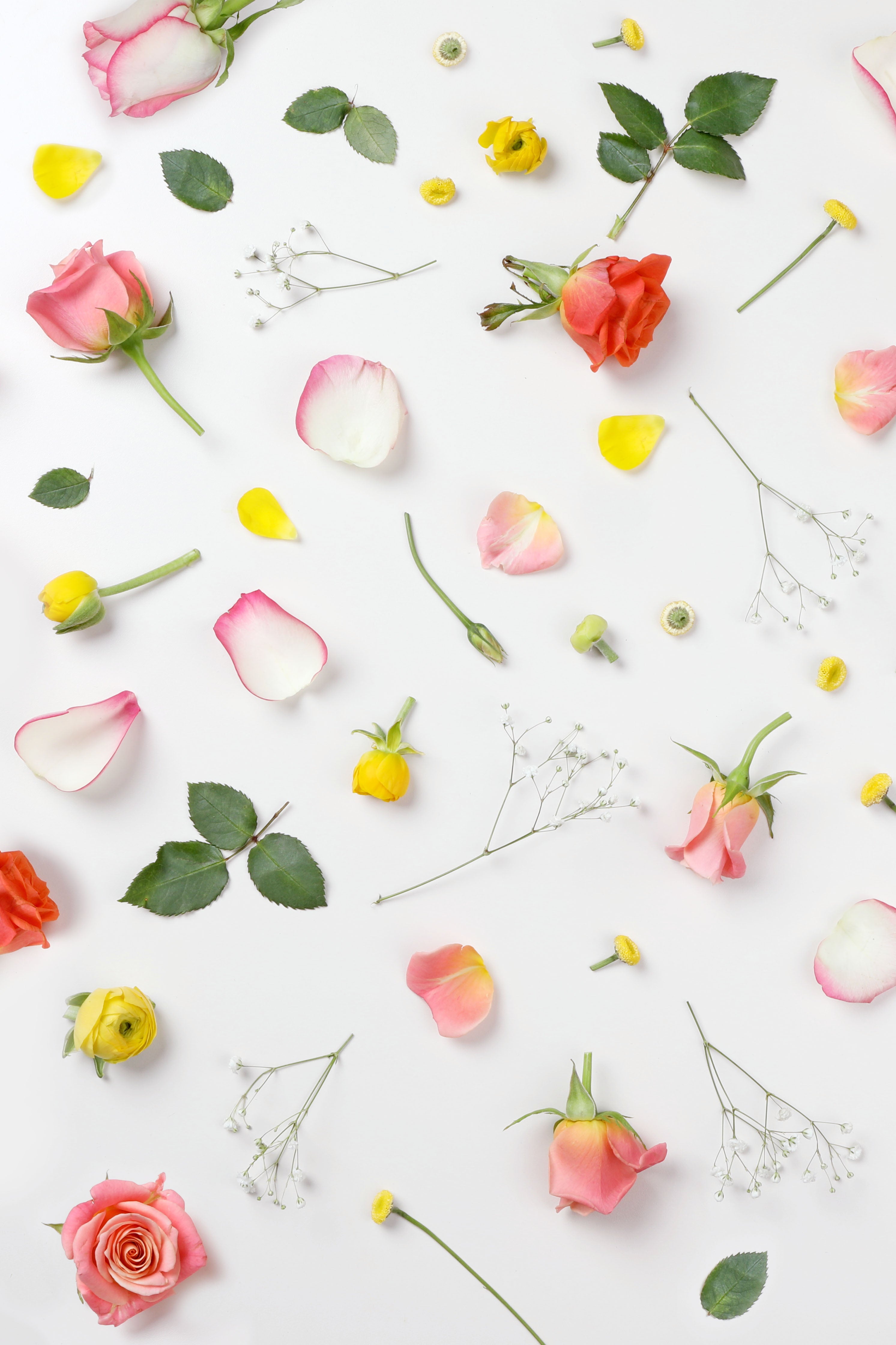 Handmade Paper & Pressed Flower Design Workshop image 0